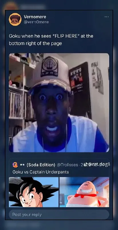 Goku Sees Flip Here