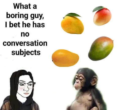 Mango Conversation Subjects
