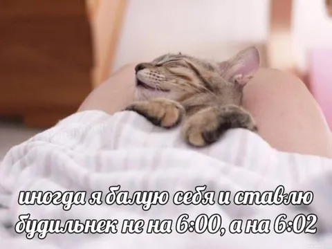 Будильник на 6:02