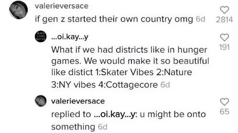 Gen Z Hunger Games Districts