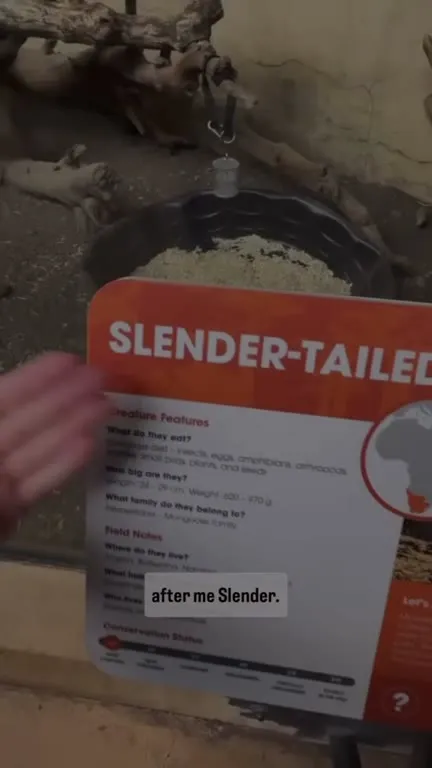 Look Guys, After Me Slender