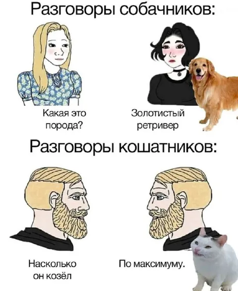 Разговоры собачников и кошатников