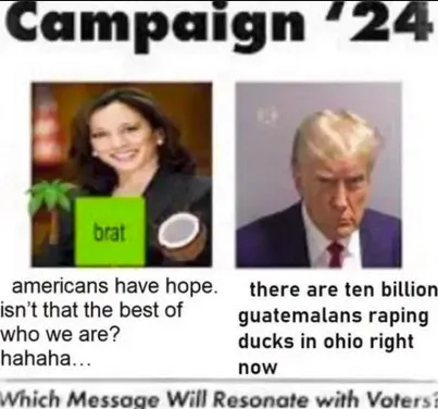 Campaign 2024 Voter Messages