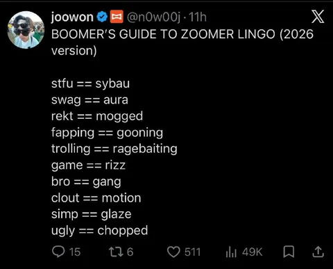 Boomer's Guide to Zoomer Lingo