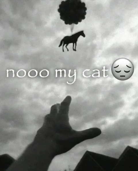 Nooo My Cat