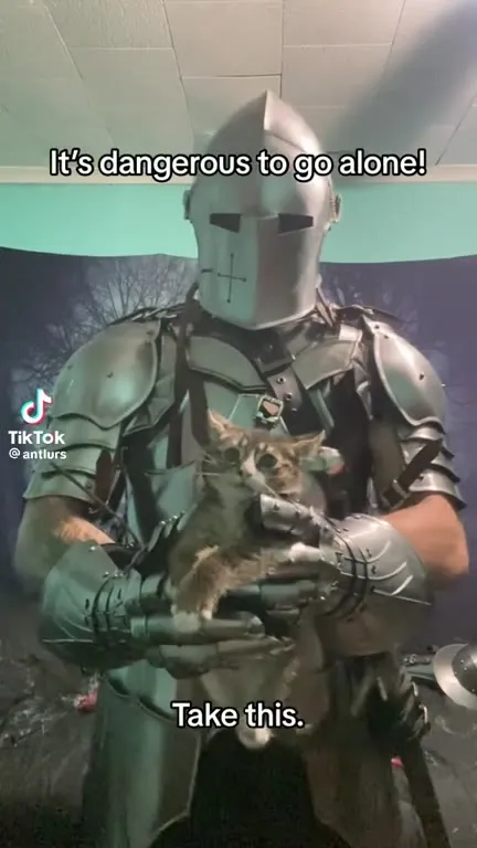 Dangerous to Go Alone Cat