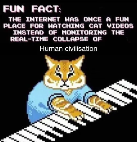 Internet Cat Videos Before Collapse