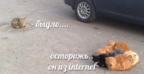 Осторожь, он из internet
