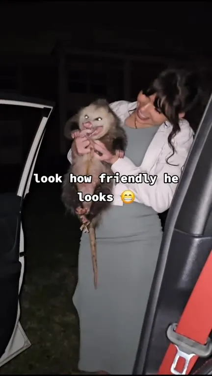 Friendly Rat Turns Disgusting