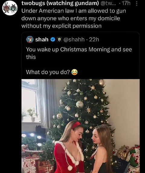 Christmas Morning Home Intruders