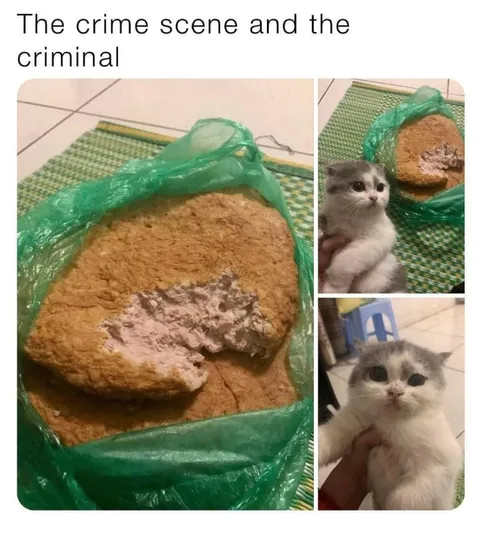 The Crime Scene and the Criminal