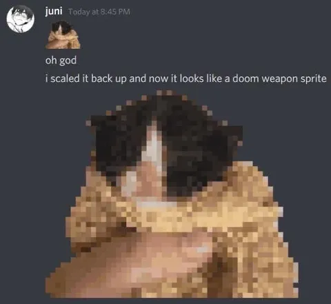 Doom Weapon Sprite Cat