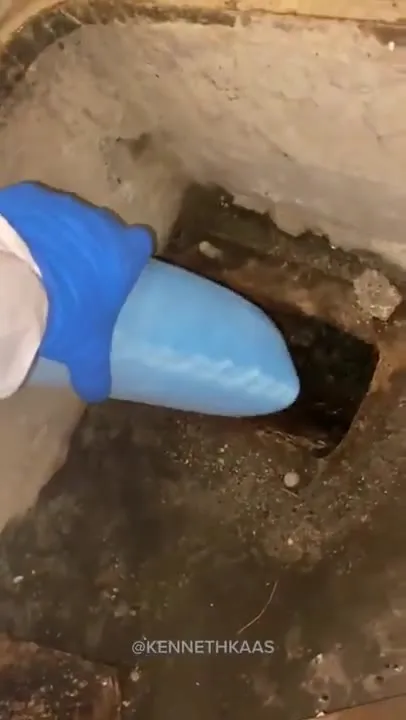 Неожиданная находка в канализационной трубе