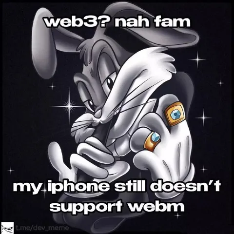 iPhone Doesn’t Support WebM