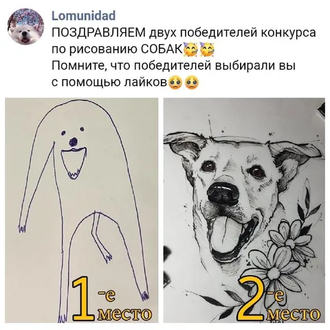 Победители конкурса рисунков собак