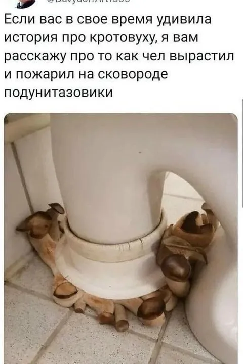 История про подунитазовики