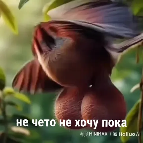 Птица пока не хочет