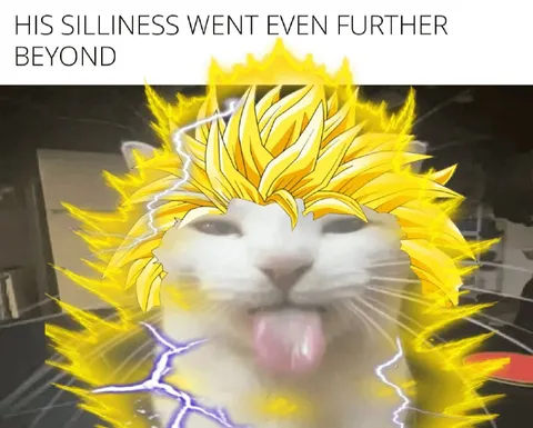 Super Saiyan Cat Goes Further