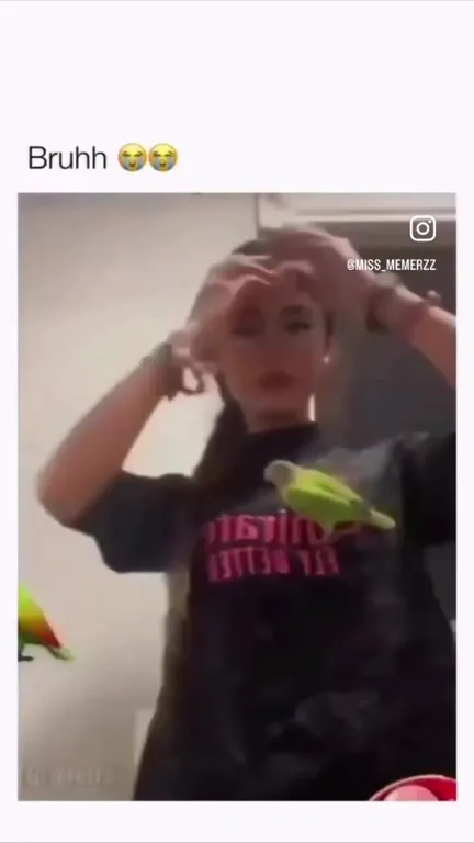 Parrot Ascends to Heaven