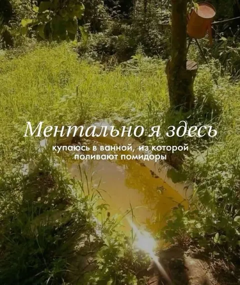 Ментально я здесь