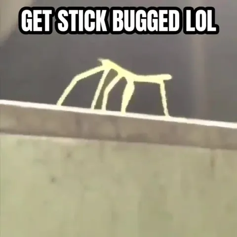 Get Stick Bugged LOL