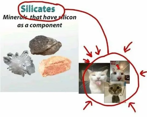 Silicates Cat Collage