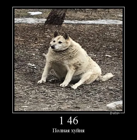 Полная хуйня 1 46