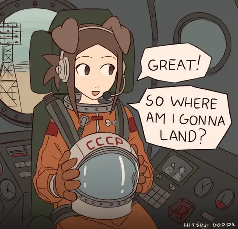 Astronaut Has No Landing Plan