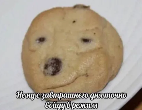 С завтрашнего дня войду в режим