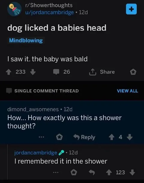 I Remembered It in the Shower