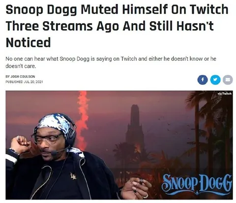Snoop Dogg Muted on Twitch