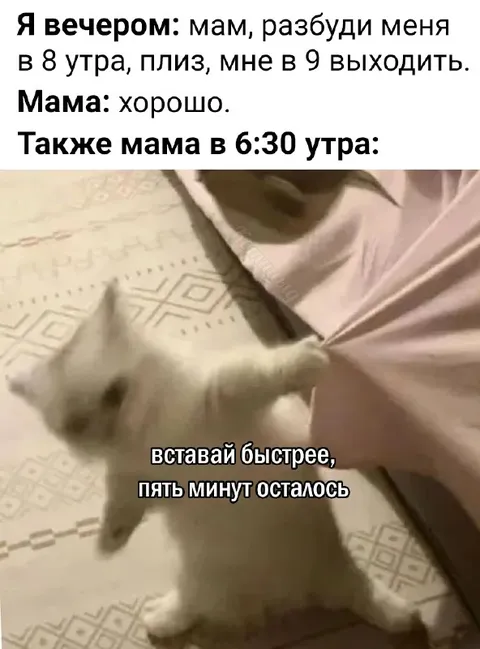 Мама будит за пять минут
