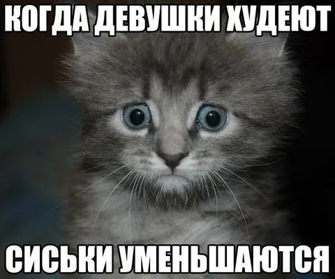 Когда девушки худеют