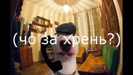 Кот звонит в полицию