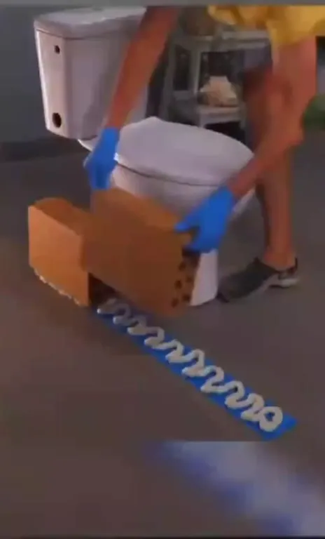 Самодельный туалет на двоих