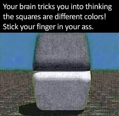 Your Brain Tricks You