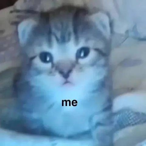 Confused Cat Says Me