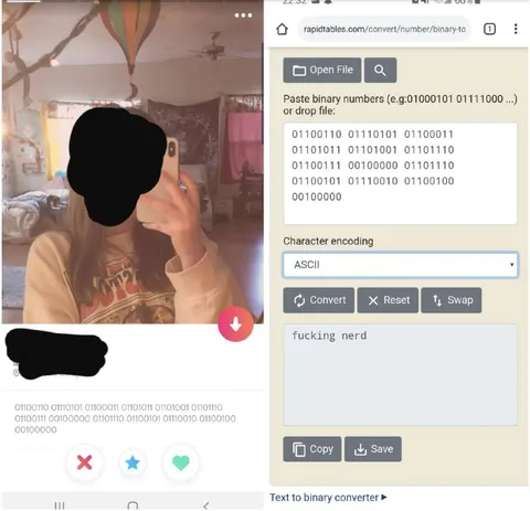 Binary Message Says Fucking Nerd