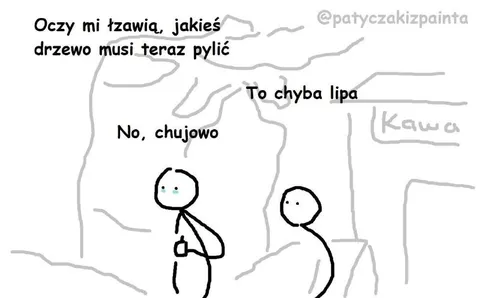 To chyba lipa