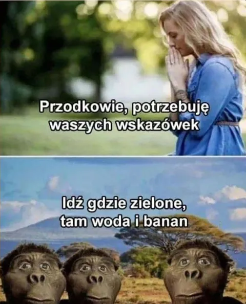 Przodkowie potrzebują wskazówek