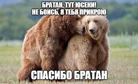 Братан, я тебя прикрою