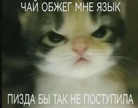 Чай обожжет мне язык
