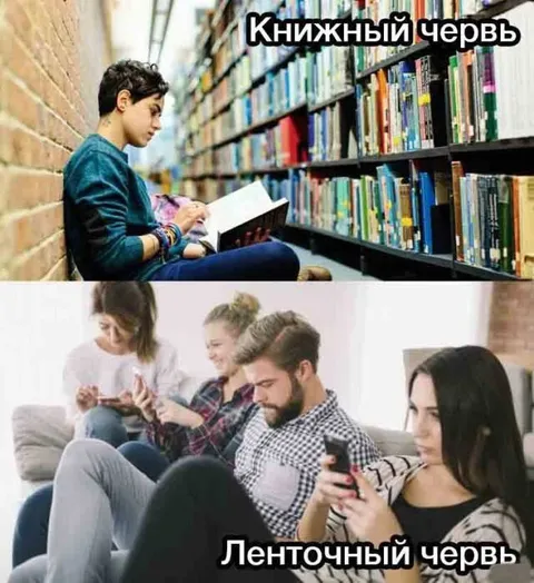 Книжный червь и ленточный червь
