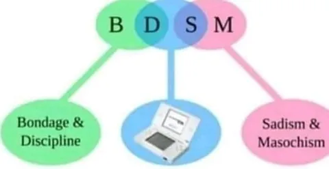 BDSM Nintendo DS Diagram