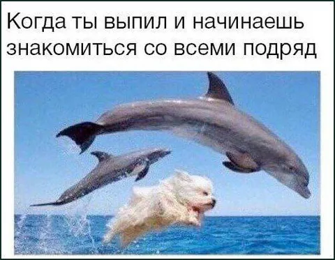 Пьяное знакомство со всеми подряд