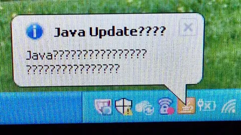 Java Update???