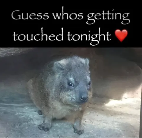 Guess Whos Getting Touched Tonight
