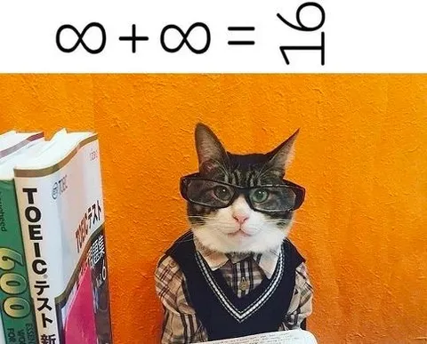 Кот-математик за партой