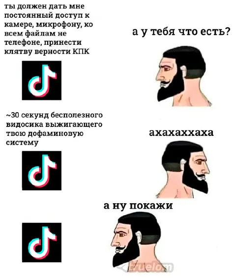 Доступ к телефону ради TikTok