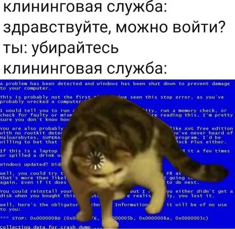 Клининг против синего экрана